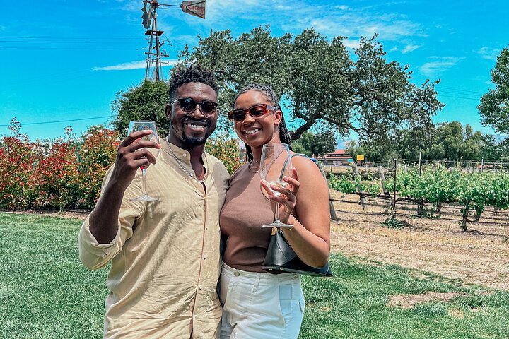 Santa Ynez Wine Tour (All-Inclusive)
