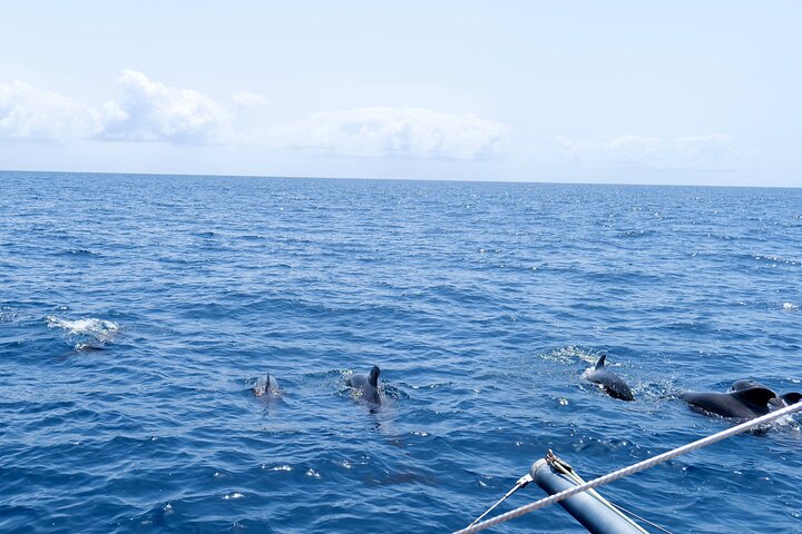 Catamaran Half Day - Beautiful day on the Atlantic Ocean