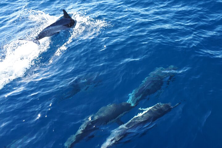 Sailing yacht half day- with Cape Verde Sailing