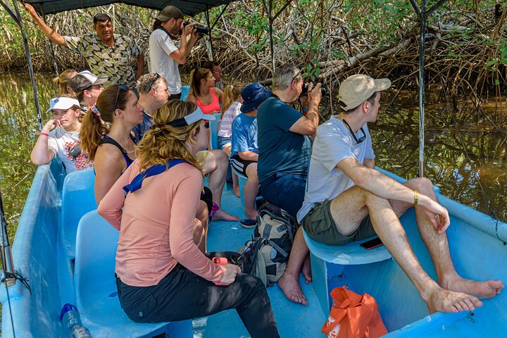 Tamarindo Estuary Boat Safari