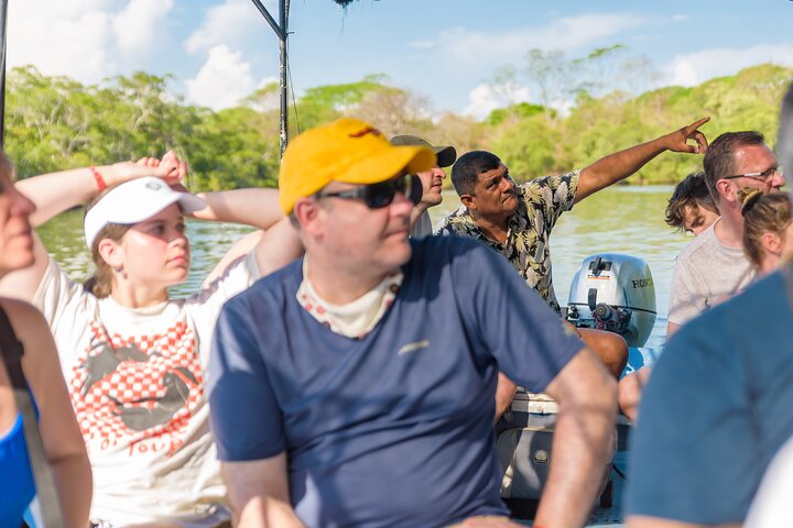 Tamarindo Estuary Boat Safari