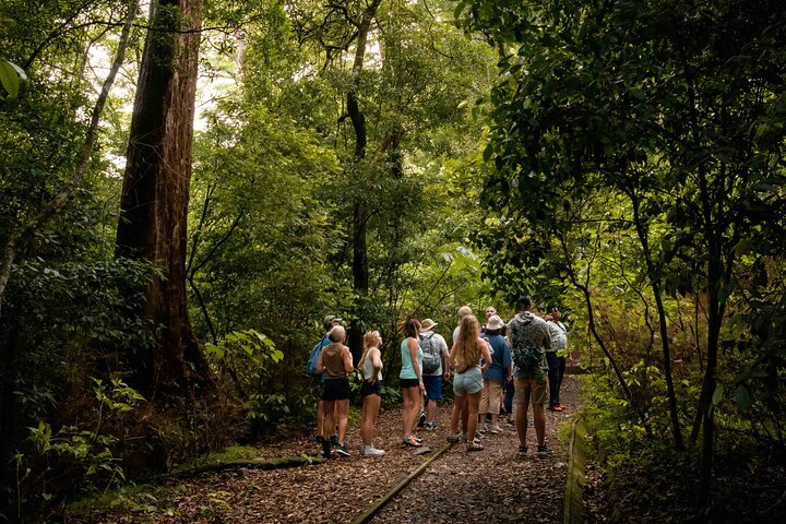 Volcano Hike, Waterfall Swim & Hot Springs Combo on Rincon de la Vieja