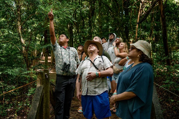Volcano Hike, Waterfall Swim & Hot Springs Combo on Rincon de la Vieja