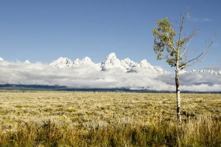 From Jackson Hole: Yellowstone Old Faithful, Waterfalls and Wildlife Day Tour