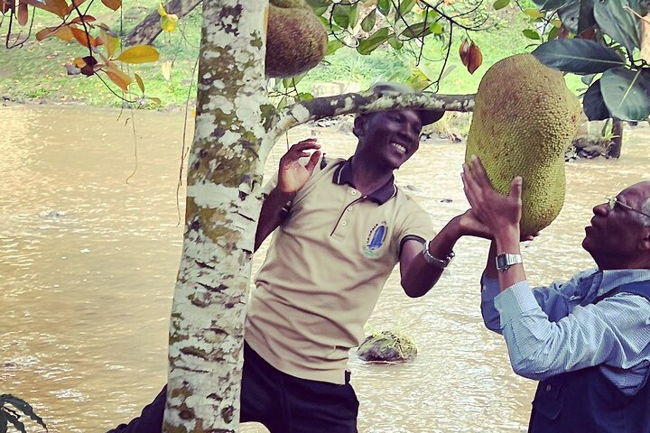 The Best 1Day Jinja Tour & source of the Nile River Experience