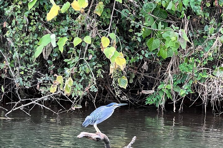 The Best 1Day Jinja Tour & source of the Nile River Experience