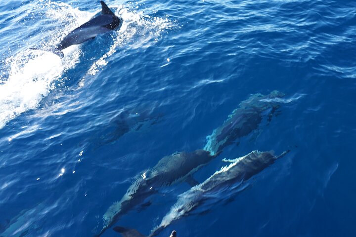 Full day Sailing yacht - Beautiful day on the Atlantic Ocean