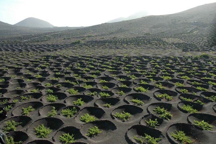 Tour to Timanfaya, Jameos del Agua, Cueva de los Verdes and viewpoint from the cliff