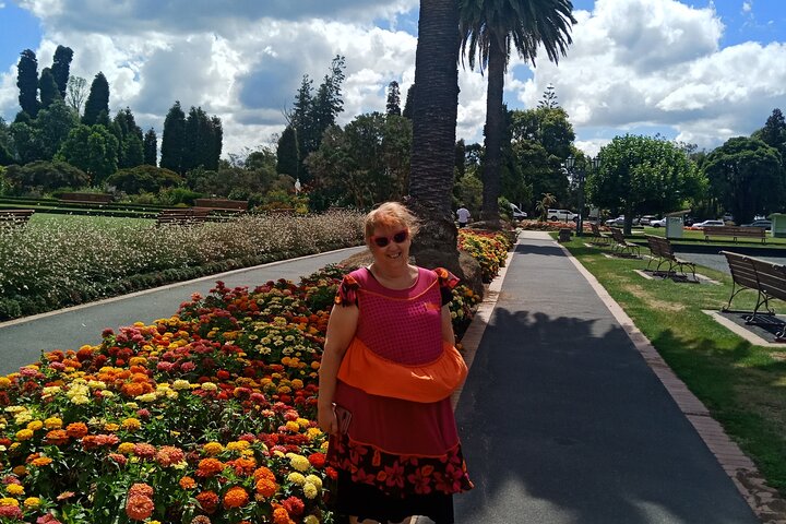 Private, via beaches, Kiwi farm to Rotorua 8 lakes & Geothermal