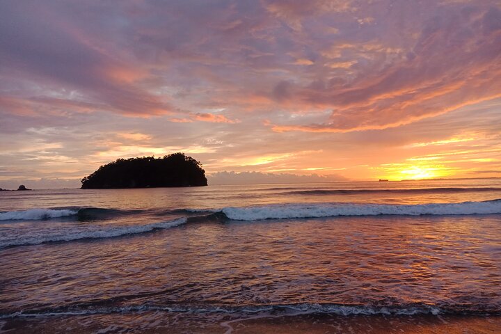 Private, via beaches, Kiwi farm to Rotorua 8 lakes & Geothermal