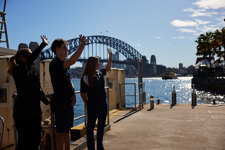 Sydney Whale-Watching Cruise Including Lunch or Breakfast