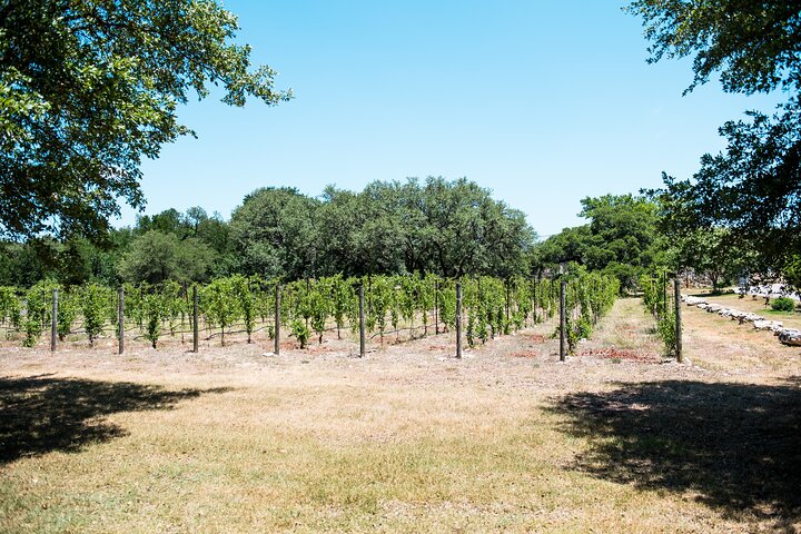 From Austin: Hill Country BBQ & Wine Shuttle