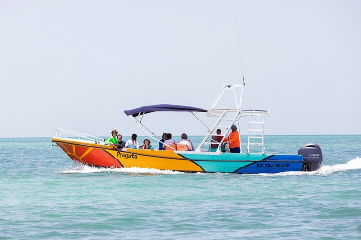 Whale Shark and Snorkeling Adventure from Isla Holbox