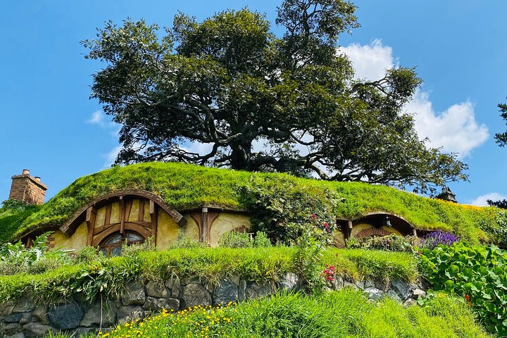 Small Group Hobbiton Movie Set from Tauranga