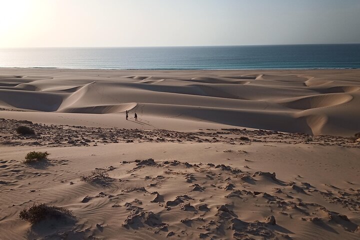 Tours in Boa Vista island