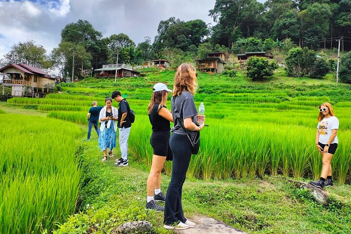 Doi Inthanon, Waterfall+Royal Project from Chiang Mai with Lunch