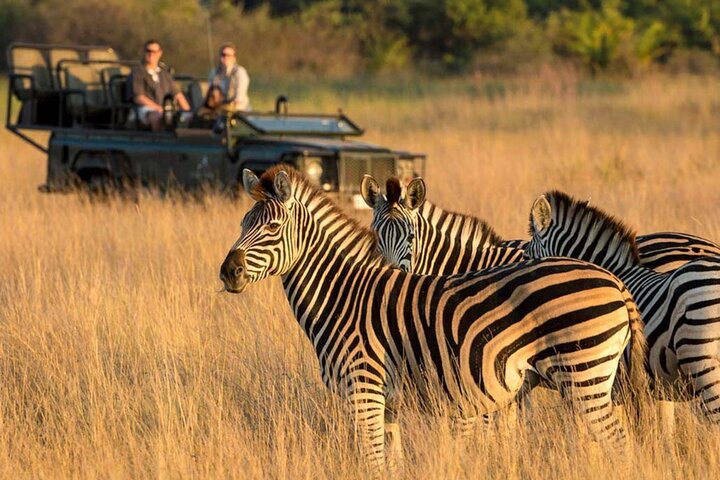 Full Day Isimangaliso Wetlands Park -Croc & Hippo &Game Fr Durban