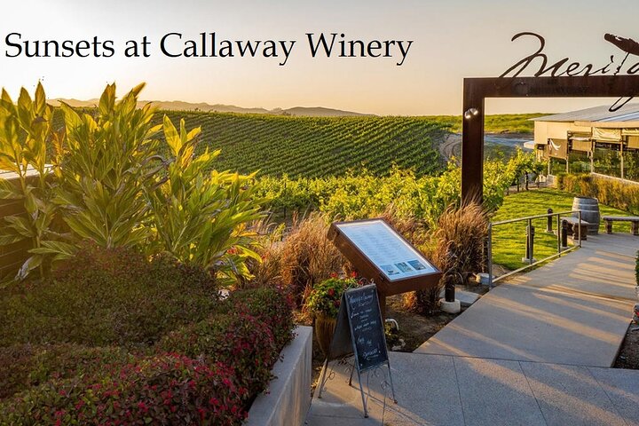 Temecula's Premier Wine Tasting Tour