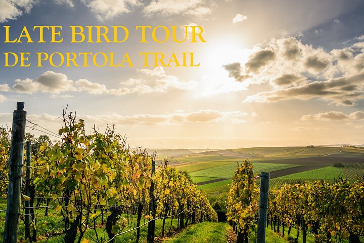 Temecula's Premier Wine Tasting Tour