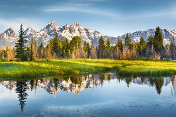 From Jackson Hole: Yellowstone Old Faithful, Waterfalls and Wildlife Day Tour