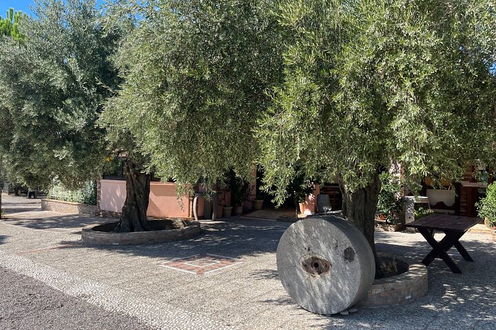 Private Katakolon Excursion to Ancient Olympia, Winery and Beach