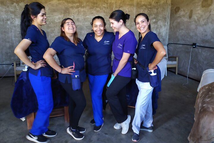 Massage Experience with Certified Therapists & Pickup Drop-Off