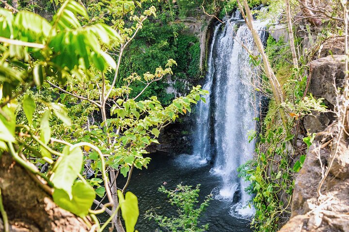 Rio Celeste Hiking, Sloth Sanctuary & Llanos de Cortes Waterfall Tour