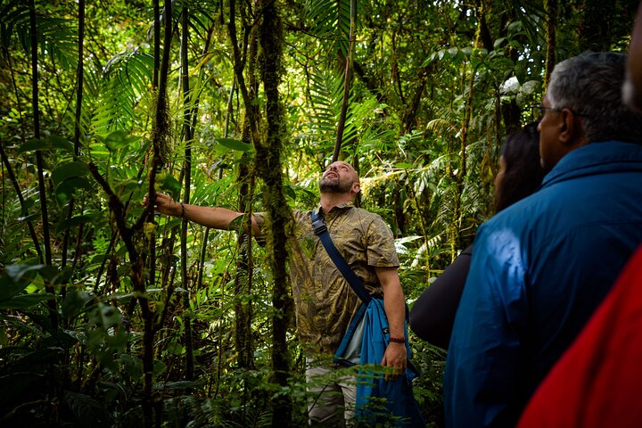 Zipline and Hanging Bridges Combo Tour in Monteverde Cloud Forest