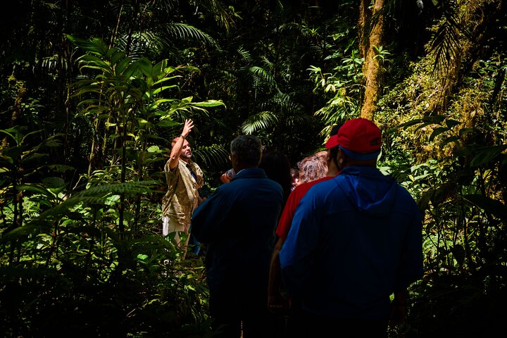 Zipline and Hanging Bridges Combo Tour in Monteverde Cloud Forest