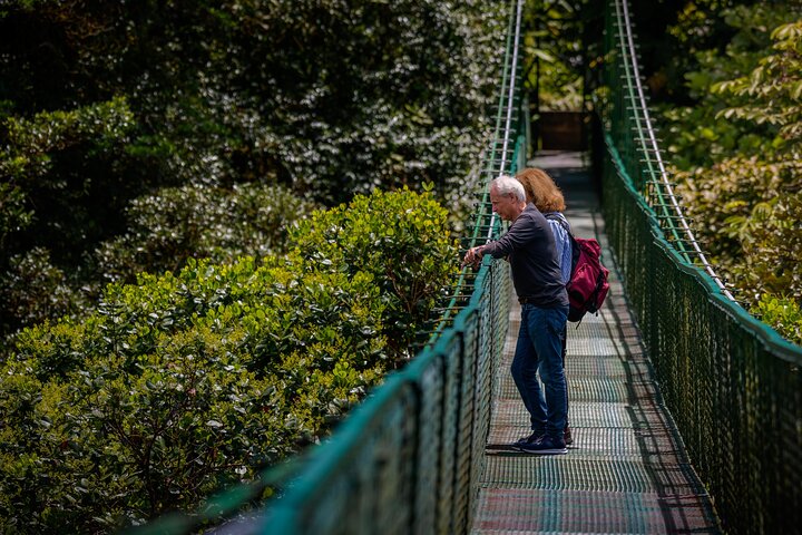 Zipline and Hanging Bridges Combo Tour in Monteverde Cloud Forest