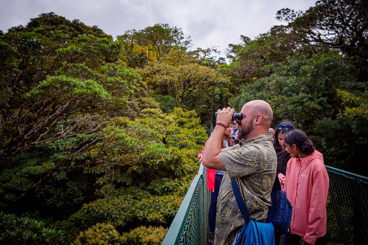 Zipline and Hanging Bridges Combo Tour in Monteverde Cloud Forest