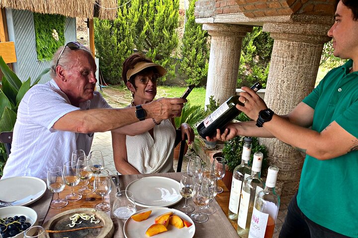 Private Ephesus Tour & Wine Tasting at Boutique Winery & Lunch