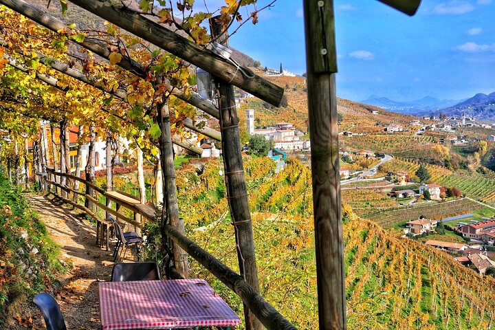 Full day Private Prosecco Tour, with certified Sommelier