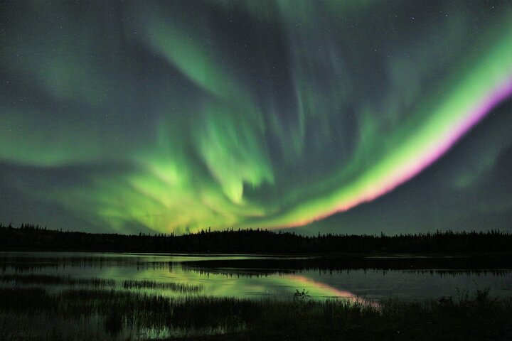 Northern Lights Tour Yellowknife