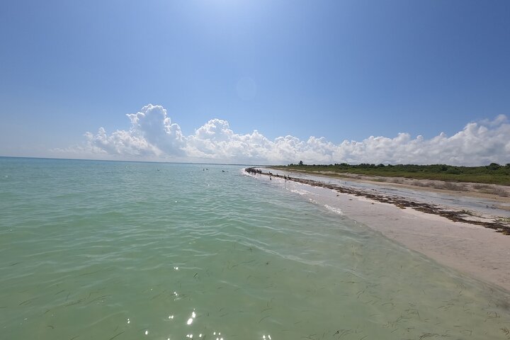 Full Day Tour with Fishing and Snorkeling from Holbox