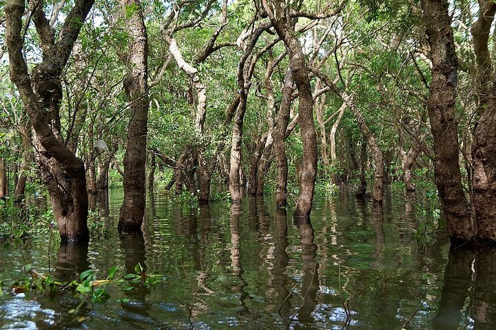 Sunset tour of Kampong Phluk stilts home village on the Tonle Sap