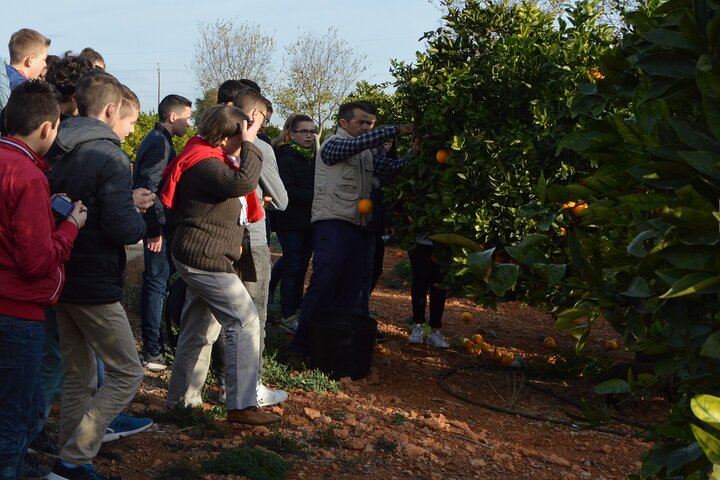 Stately Garden Tour with Orange Tasting