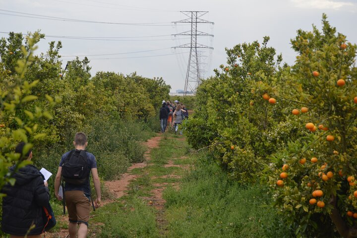 Stately Garden Tour with Orange Tasting