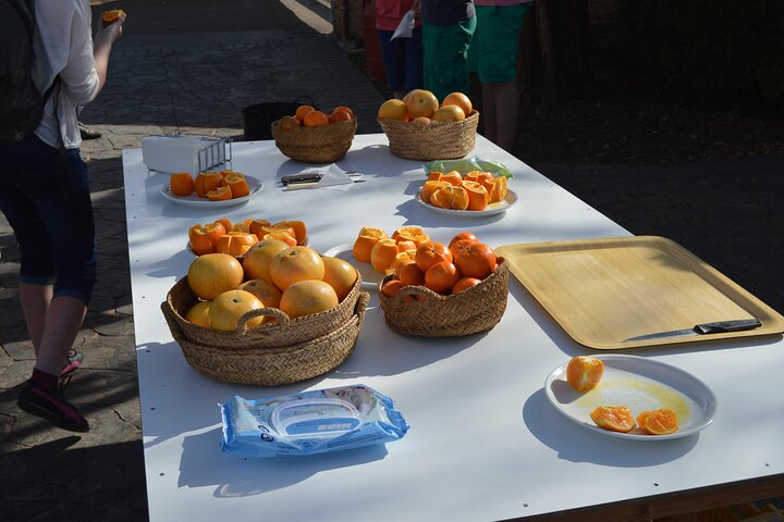 Stately Garden Tour with Orange Tasting