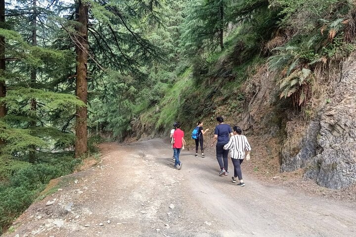 Guided, India's Own Mini Tibet Mcleodganj- Culture Tour