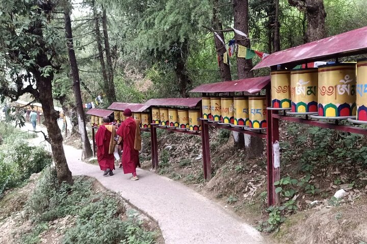 Guided, India's Own Mini Tibet Mcleodganj- Culture Tour