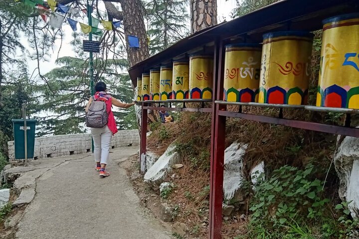 Guided, India's Own Mini Tibet Mcleodganj- Culture Tour