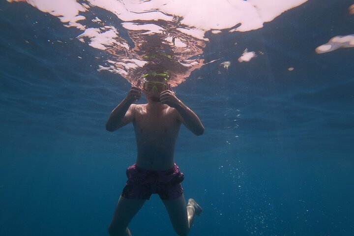 Kayaking + snorkeling with turtles