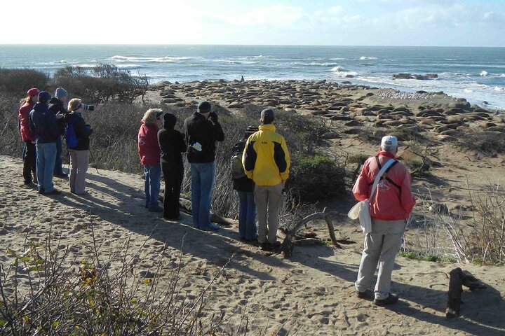 Smartphone Driving Tour between Santa Maria & Monterey 'Big Sur'