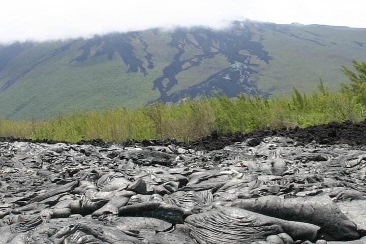 Full Day Tour of Reunion Island with Breakfast