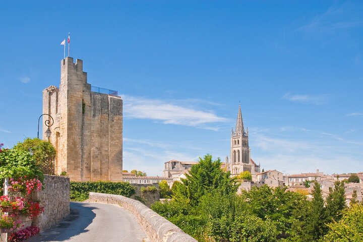 Saint Emilion Half-Day Trip with Wine Tasting & Winery Visit from Bordeaux