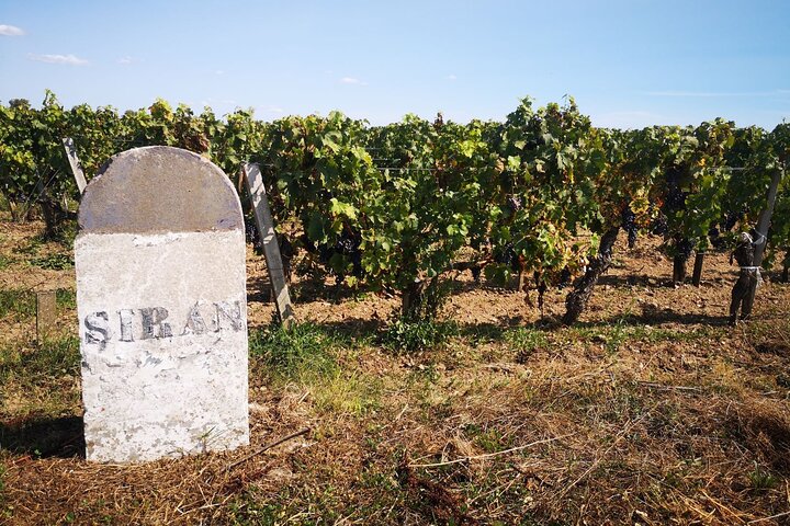 Medoc Region Wine Day Trip with Vineyard Visits & Tastings from Bordeaux