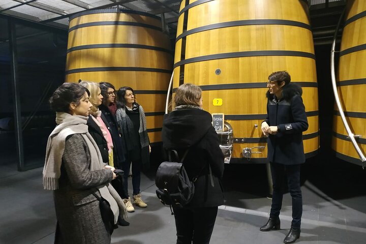 Medoc Region Wine Day Trip with Vineyard Visits & Tastings from Bordeaux