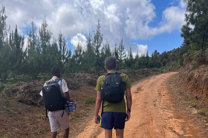 Zomba plateau Day Hike Tour