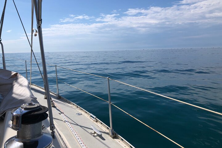 Private Discovery of the Camargue by Sail